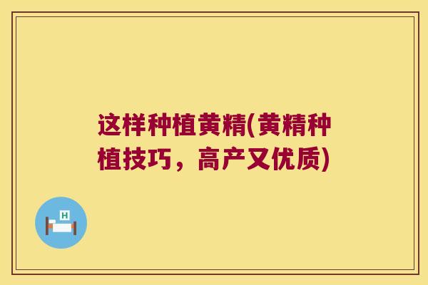 这样种植黄精(黄精种植技巧，高产又优质)