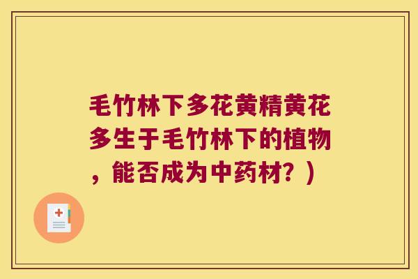 毛竹林下多花黄精黄花多生于毛竹林下的植物,能否成为材?) 毛竹林下多花黄精黄花多生于毛竹林下的植物,能否成为材?)