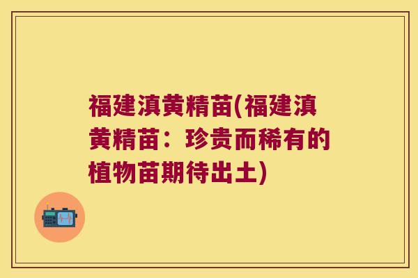 福建滇黄精苗(福建滇黄精苗：珍贵而稀有的植物苗期待出土)