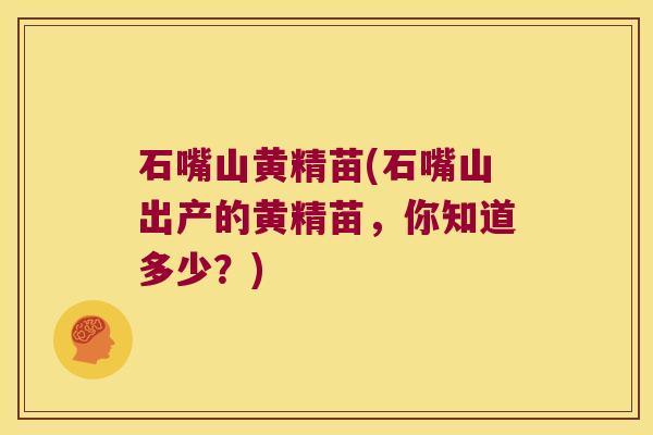 石嘴山黄精苗(石嘴山出产的黄精苗,你知道多少?) 石嘴山黄精苗(石嘴山出产的黄精苗,你知道多少?)