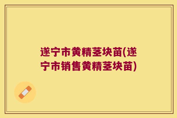 遂宁市黄精茎块苗(遂宁市销售黄精茎块苗) 遂宁市黄精茎块苗(遂宁市销售黄精茎块苗)