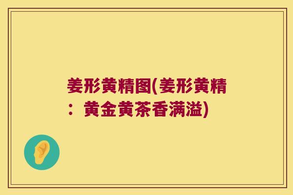 姜形黄精图(姜形黄精:黄金黄茶香满溢) 姜形黄精图(姜形黄精:黄金黄茶香满溢)