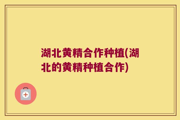 湖北黄精合作种植(湖北的黄精种植合作)