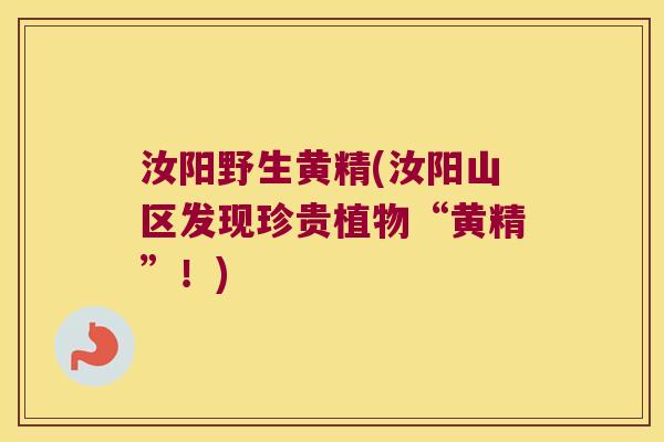 汝阳野生黄精(汝阳山区发现珍贵植物“黄精”!) 汝阳野生黄精(汝阳山区发现珍贵植物“黄精”!)