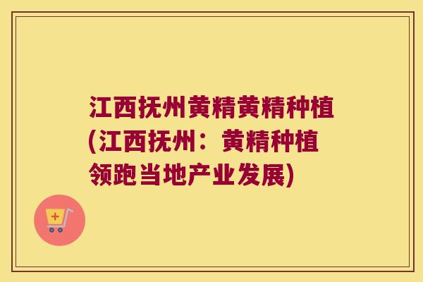江西抚州黄精黄精种植(江西抚州：黄精种植领跑当地产业发展)