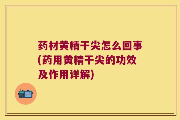 药材黄精干尖怎么回事(药用黄精干尖的功效及作用详解)
