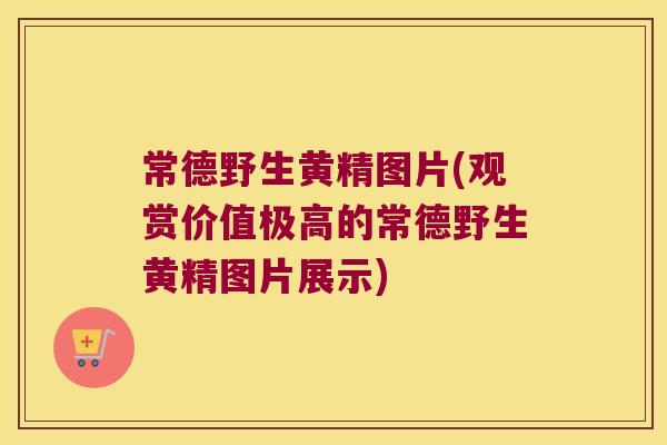 常德野生黄精图片(观赏价值极高的常德野生黄精图片展示)
