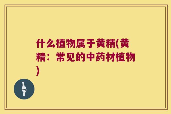 什么植物属于黄精(黄精:常见的材植物) 什么植物属于黄精(黄精:常见的材植物)