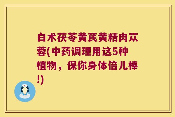 白术茯苓黄芪黄精肉苁蓉(调理用这5种植物,保你身体倍儿棒!) 白术茯苓黄芪黄精肉苁蓉(调理用这5种植物,保你身体倍儿棒!)