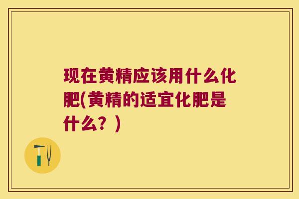 现在黄精应该用什么化肥(黄精的适宜化肥是什么？)