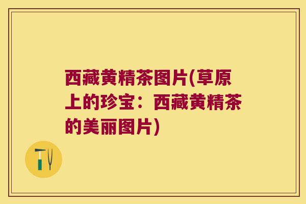 西藏黄精茶图片(草原上的珍宝：西藏黄精茶的美丽图片)