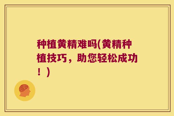 种植黄精难吗(黄精种植技巧,助您轻松成功!) 种植黄精难吗(黄精种植技巧,助您轻松成功!)