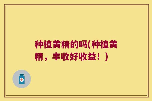 种植黄精的吗(种植黄精，丰收好收益！)