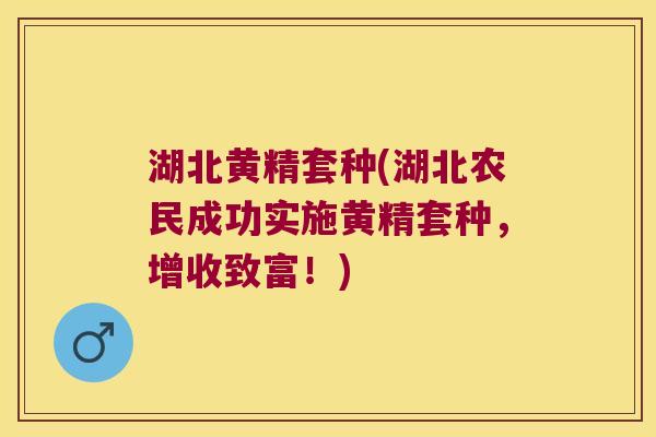 湖北黄精套种(湖北农民成功实施黄精套种，增收致富！)