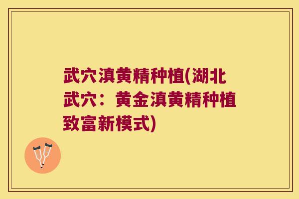 武穴滇黄精种植(湖北武穴:黄金滇黄精种植致富新模式) 武穴滇黄精种植(湖北武穴:黄金滇黄精种植致富新模式)