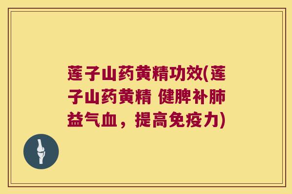莲子山药黄精功效(莲子山药黄精 健脾补益气,提高力) 莲子山药黄精功效(莲子山药黄精 健脾补益气,提高力)