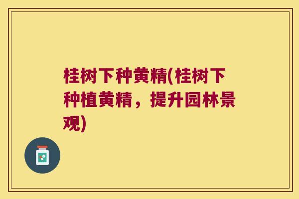 桂树下种黄精(桂树下种植黄精，提升园林景观)