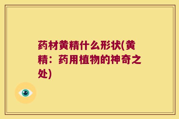 药材黄精什么形状(黄精:药用植物的神奇之处) 药材黄精什么形状(黄精:药用植物的神奇之处)