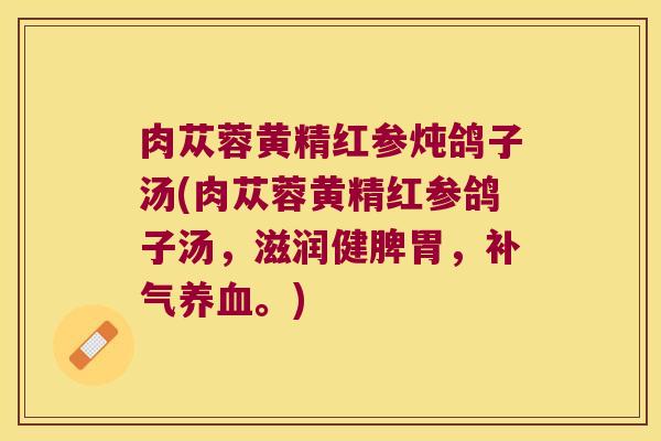 肉苁蓉黄精红参炖鸽子汤(肉苁蓉黄精红参鸽子汤，滋润健脾胃，。)