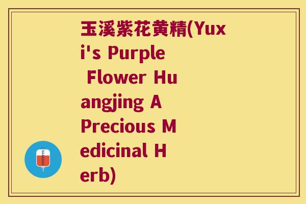 玉溪紫花黄精(Yuxi's Purple Flower Huangjing A Precious Medicinal Herb)
