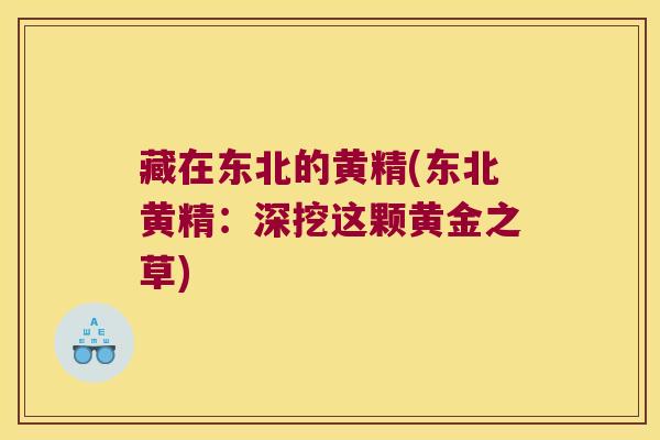 藏在东北的黄精(东北黄精:深挖这颗黄金之草) 藏在东北的黄精(东北黄精:深挖这颗黄金之草)
