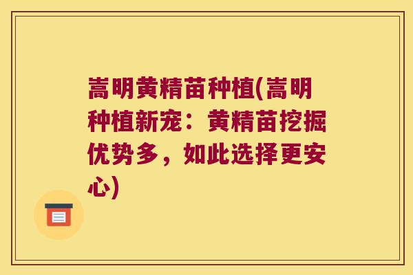 嵩明黄精苗种植(嵩明种植新宠:黄精苗挖掘优势多,如此选择更安心) 嵩明黄精苗种植(嵩明种植新宠:黄精苗挖掘优势多,如此选择更安心)