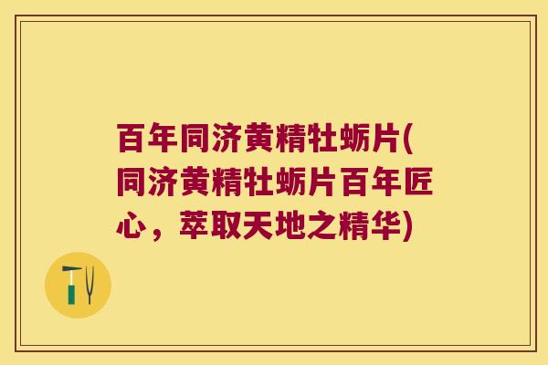 百年同济黄精牡蛎片(同济黄精牡蛎片百年匠心,萃取天地之精华) 百年同济黄精牡蛎片(同济黄精牡蛎片百年匠心,萃取天地之精华)