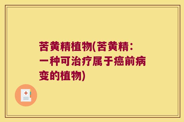 苦黄精植物(苦黄精:一种可属于前变的植物) 苦黄精植物(苦黄精:一种可属于前变的植物)
