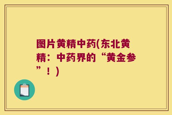 图片黄精(东北黄精:界的“黄金参”!) 图片黄精(东北黄精:界的“黄金参”!)