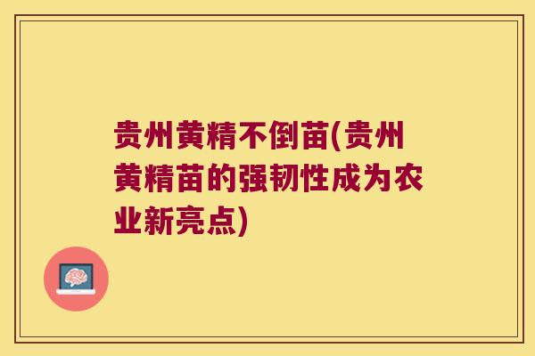 贵州黄精不倒苗(贵州黄精苗的强韧性成为农业新亮点) 贵州黄精不倒苗(贵州黄精苗的强韧性成为农业新亮点)