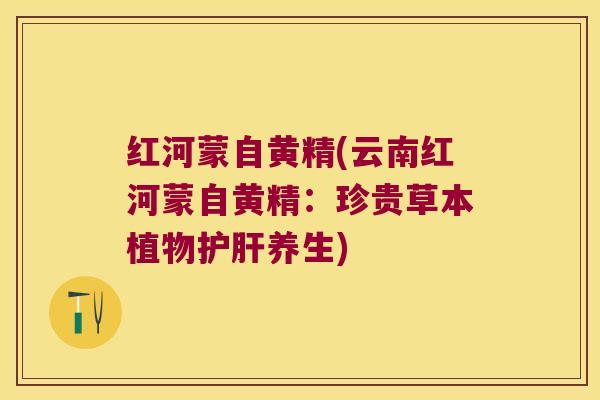 红河蒙自黄精(云南红河蒙自黄精:珍贵草本植物养生) 红河蒙自黄精(云南红河蒙自黄精:珍贵草本植物养生)