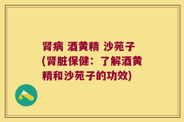  酒黄精 沙苑子(脏保健：了解酒黄精和沙苑子的功效)