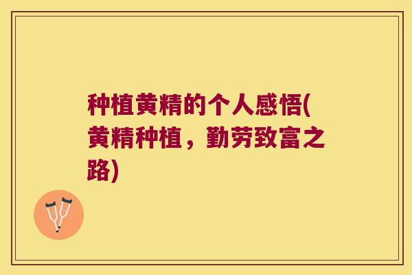 种植黄精的个人感悟(黄精种植，勤劳致富之路)