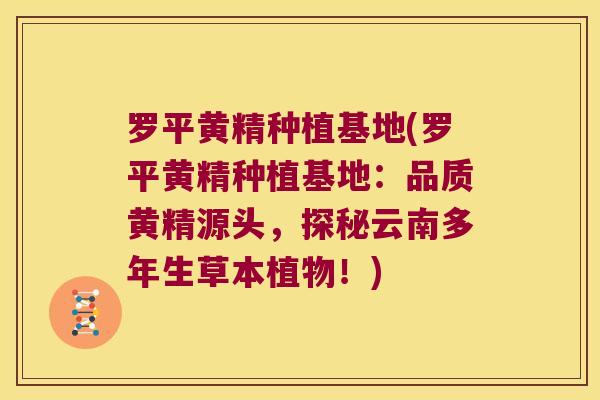 罗平黄精种植基地(罗平黄精种植基地:品质黄精源头,探秘云南多年生草本植物!) 罗平黄精种植基地(罗平黄精种植基地:品质黄精源头,探秘云南多年生草本植物!)