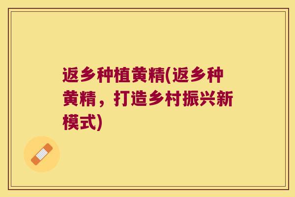 返乡种植黄精(返乡种黄精,打造乡村振兴新模式) 返乡种植黄精(返乡种黄精,打造乡村振兴新模式)