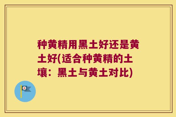 种黄精用黑土好还是黄土好(适合种黄精的土壤：黑土与黄土对比)