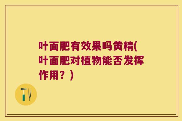 叶面肥有效果吗黄精(叶面肥对植物能否发挥作用?) 叶面肥有效果吗黄精(叶面肥对植物能否发挥作用?)