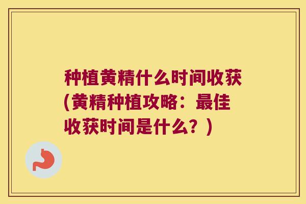 种植黄精什么时间收获(黄精种植攻略:佳收获时间是什么?) 种植黄精什么时间收获(黄精种植攻略:佳收获时间是什么?)
