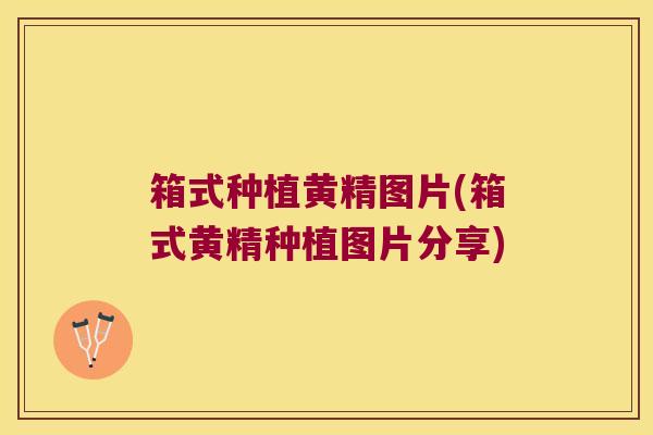箱式种植黄精图片(箱式黄精种植图片分享) 箱式种植黄精图片(箱式黄精种植图片分享)