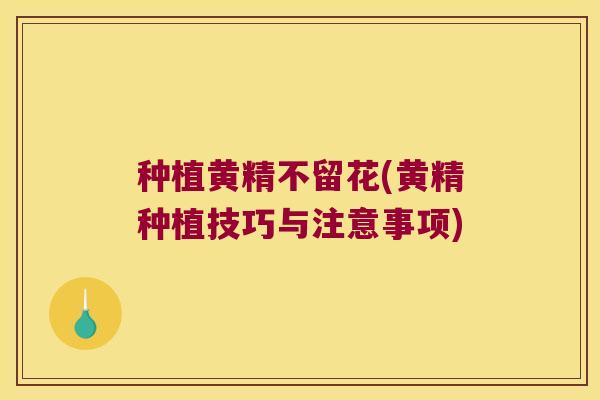 种植黄精不留花(黄精种植技巧与注意事项) 种植黄精不留花(黄精种植技巧与注意事项)