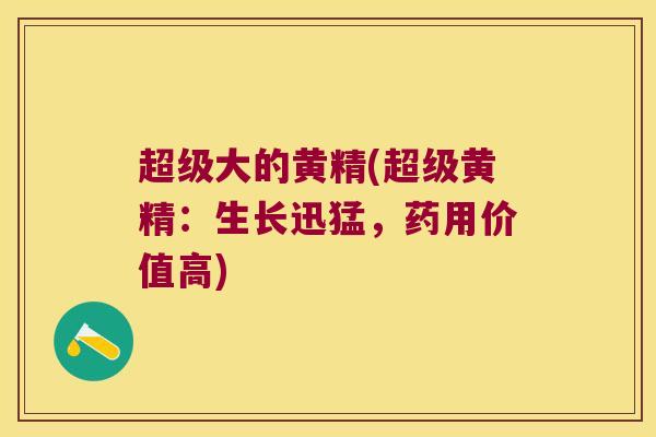 超级大的黄精(超级黄精:生长迅猛,药用价值高) 超级大的黄精(超级黄精:生长迅猛,药用价值高)