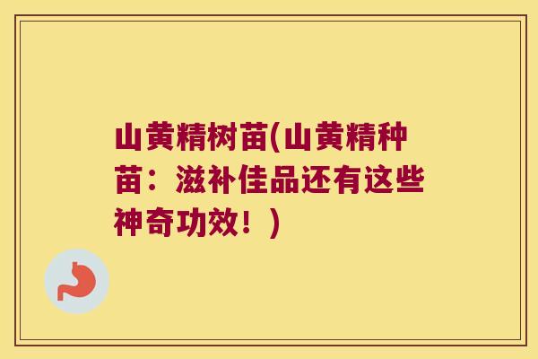 山黄精树苗(山黄精种苗：滋补佳品还有这些神奇功效！)