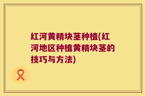 红河黄精块茎种植(红河地区种植黄精块茎的技巧与方法) 红河黄精块茎种植(红河地区种植黄精块茎的技巧与方法)