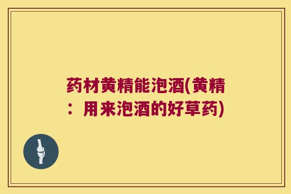 药材黄精能泡酒(黄精：用来泡酒的好草药)