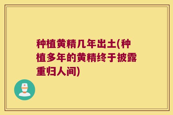 种植黄精几年出土(种植多年的黄精终于披露重归人间) 种植黄精几年出土(种植多年的黄精终于披露重归人间)