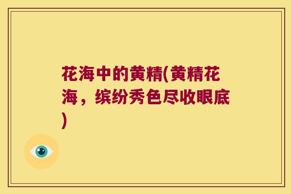 花海中的黄精(黄精花海，缤纷秀色尽收眼底)