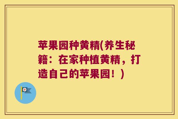 苹果园种黄精(养生秘籍:在家种植黄精,打造自己的苹果园!) 苹果园种黄精(养生秘籍:在家种植黄精,打造自己的苹果园!)