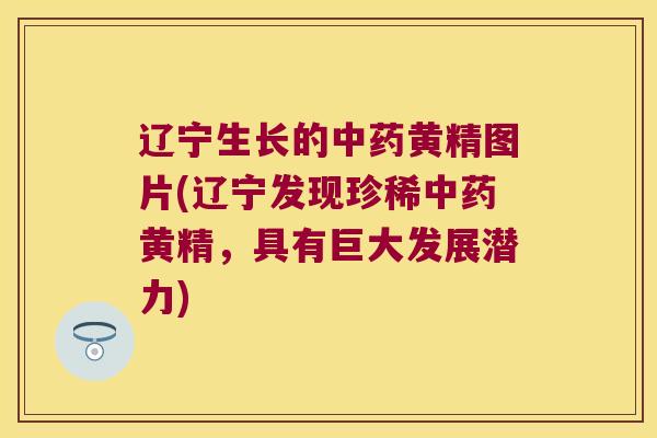 辽宁生长的黄精图片(辽宁发现珍稀黄精，具有巨大发展潜力)