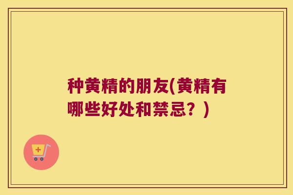 种黄精的朋友(黄精有哪些好处和禁忌?) 种黄精的朋友(黄精有哪些好处和禁忌?)
