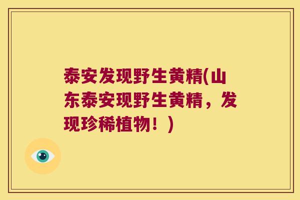 泰安发现野生黄精(山东泰安现野生黄精,发现珍稀植物!) 泰安发现野生黄精(山东泰安现野生黄精,发现珍稀植物!)